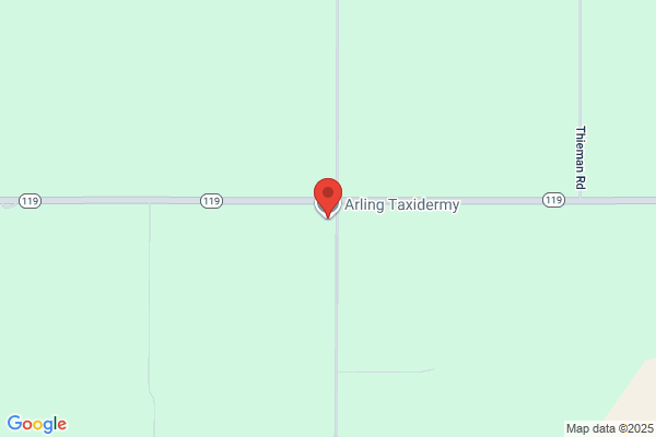Arling Taxidermy