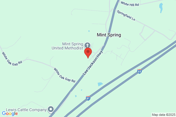 Mint Spring Medical Clinic