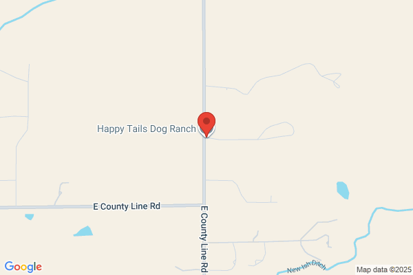 Happy Tails