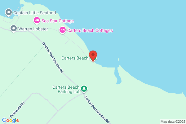 Carter Beach Properties