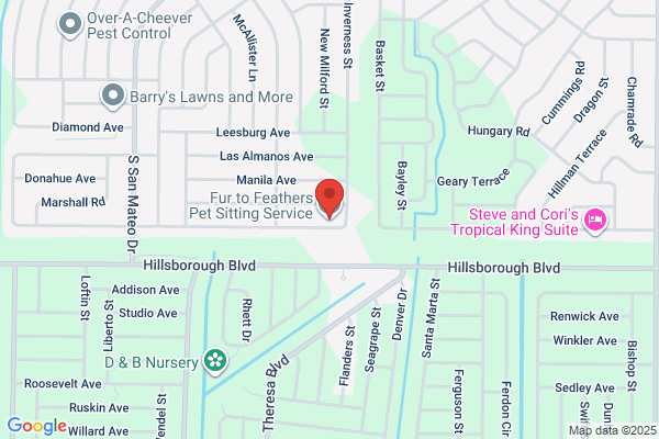 Fur & Feather Pet Sitting Services