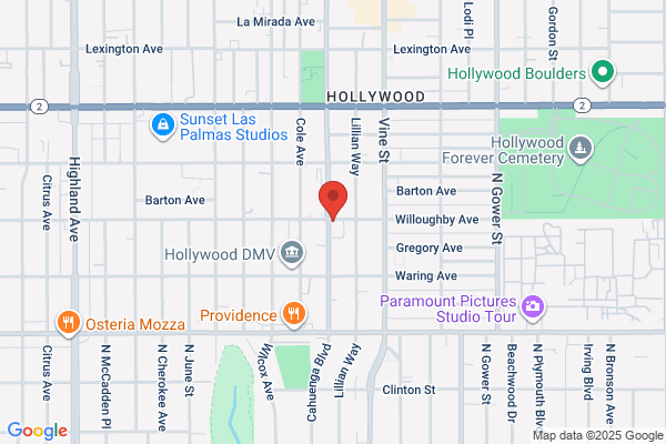 Hollywood Teen Society