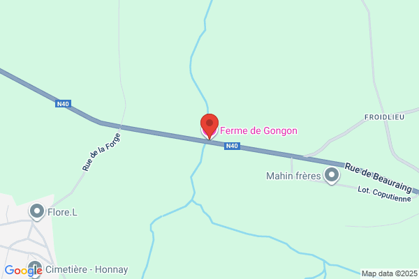 Gingon