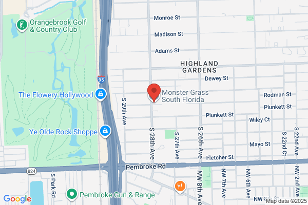 Monster Grass South Florida