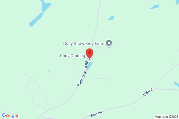 Cody Grading Co Inc