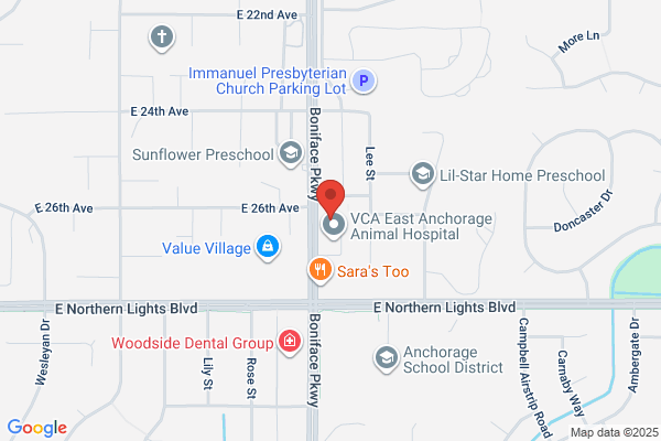 Dennis Brich, DDS - Inactive