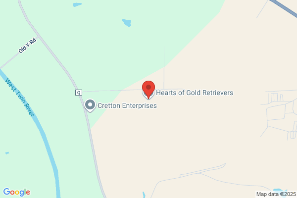 Hearts of Gold Retrievers LLC