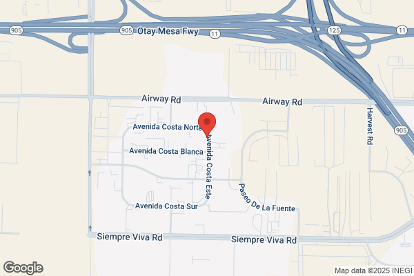 Aviles Services International