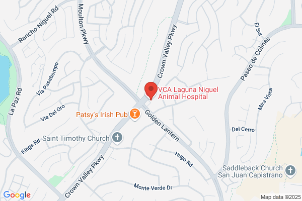 Laguna Niguel Animal Hospital