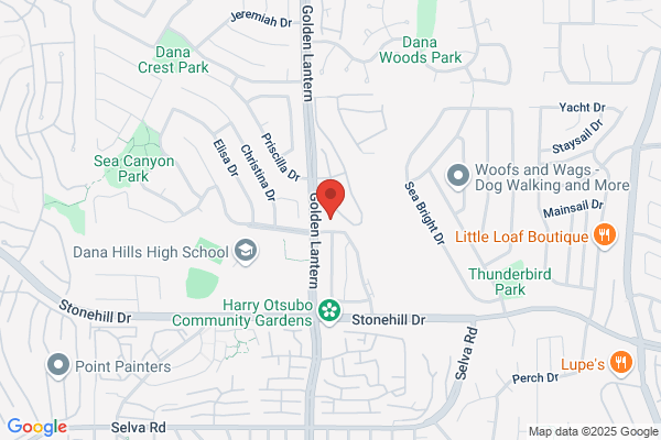 Dana Point City of, City Council