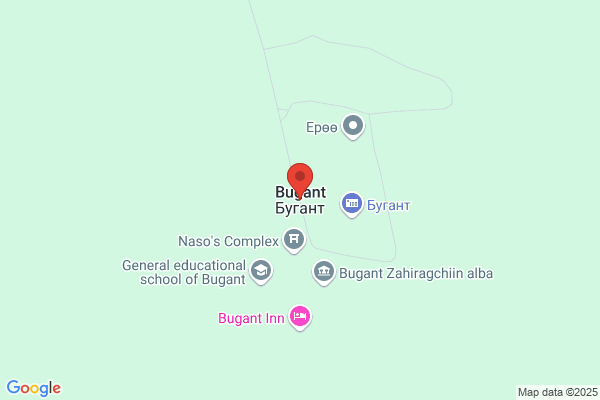 Bug-B-Gon