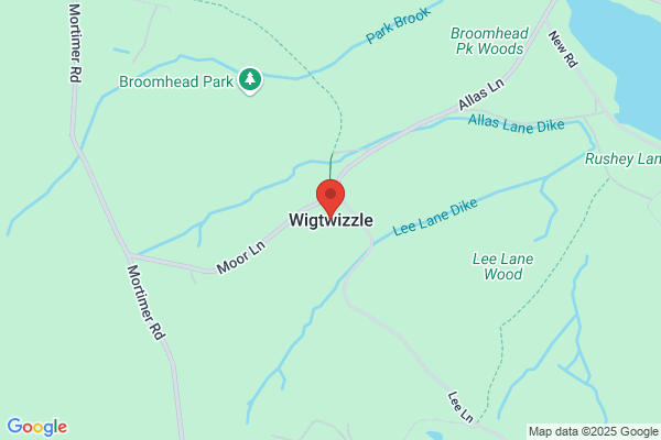 Wigtwizzle