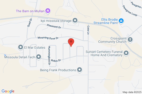 Windshield Repair-Q's