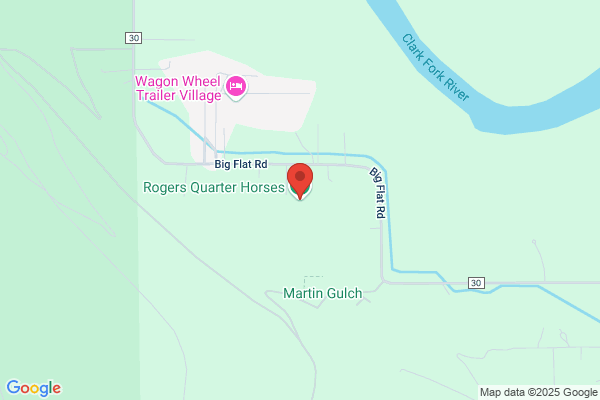 Rogers Quarter Horses