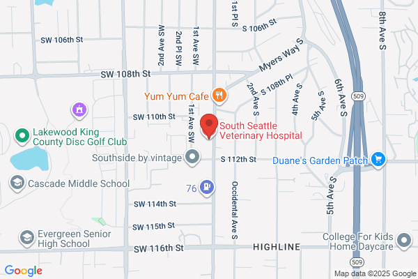 South Ave Veterinary Services