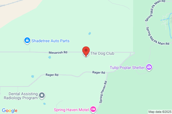 Dog Club the