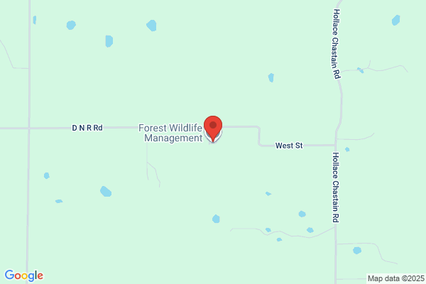 Forest Wildlife Management