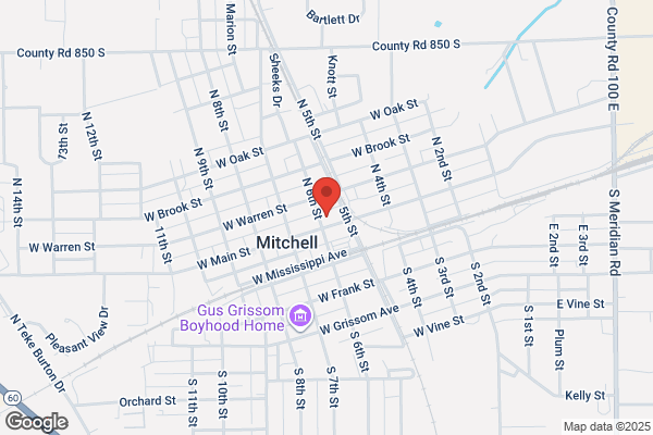 Mitchell Optical Company, Inc.