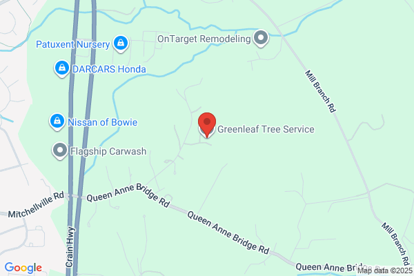 Greenleaf Tree Service