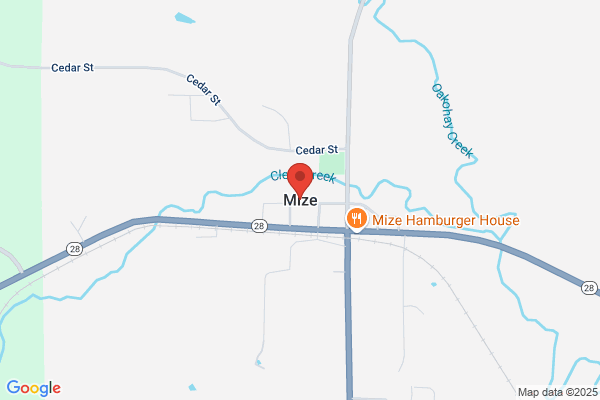 Mize City of, Library