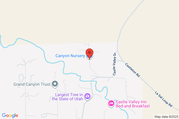 Canyon Nursery