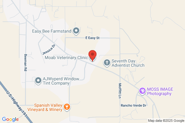 Dog & Cat Clinic of Moab