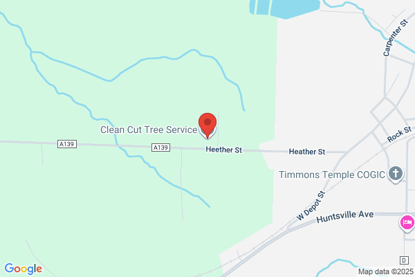 C & W Tree Service
