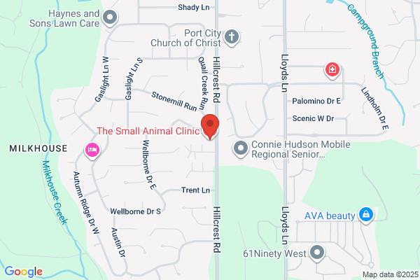 Phillips, William L DVM - Small Animal Clinic