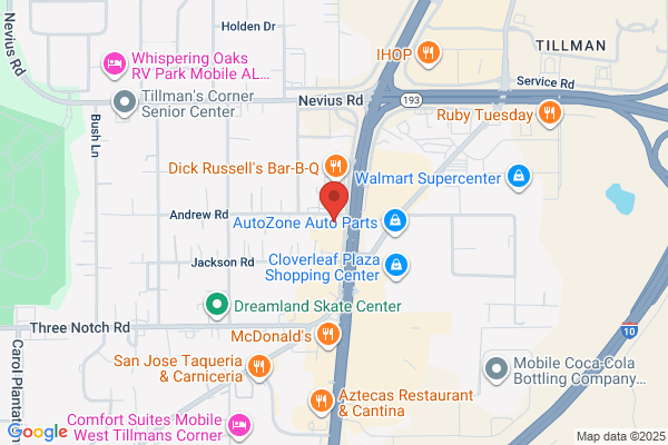 TitleMax Title Loans