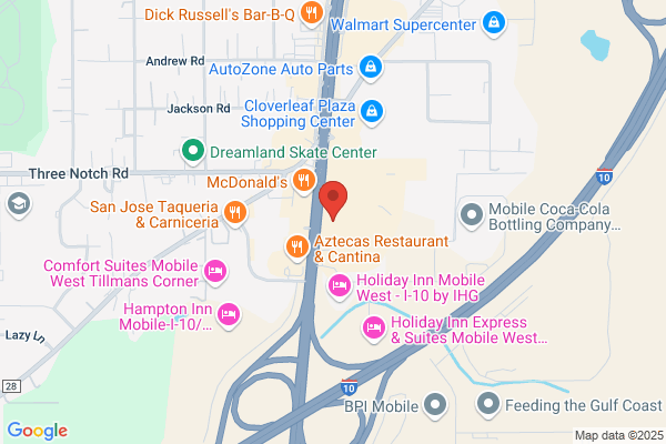 Kentucky Fried Chicken