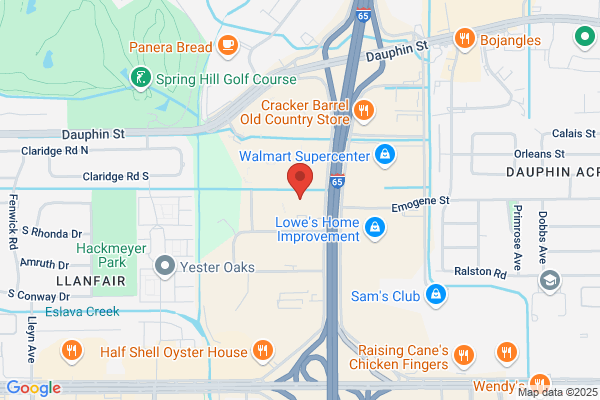 Orthopaedic Center At Springhill the