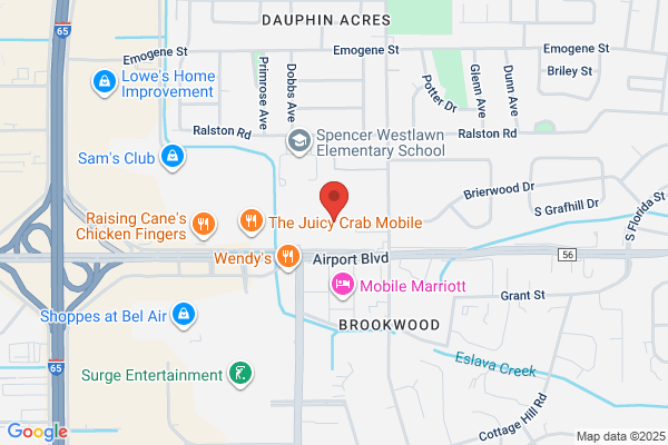 Mobile Bay Transportation Co Inc, Airport Limousine