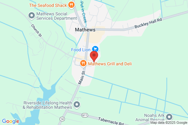 Friends of Mathews Memorial Library