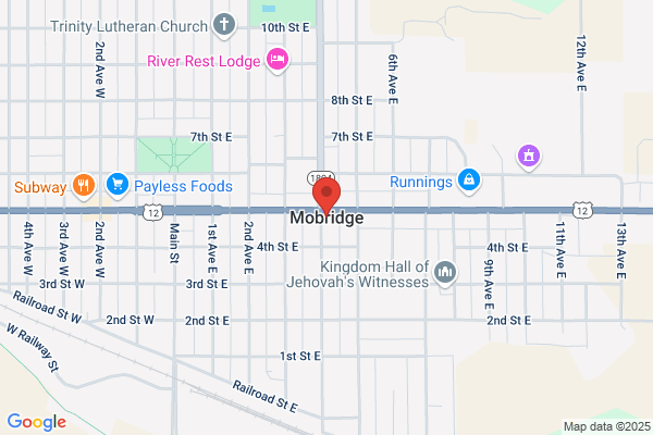 Mott Aerial Spray