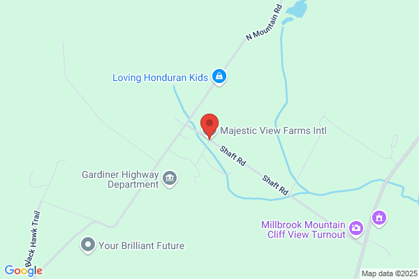 Mountain View Farm