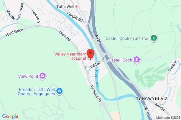 Valley Veterinary Hospital