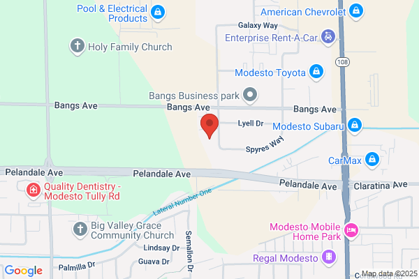 Tammy R. Borba, Certified Insurance Professional