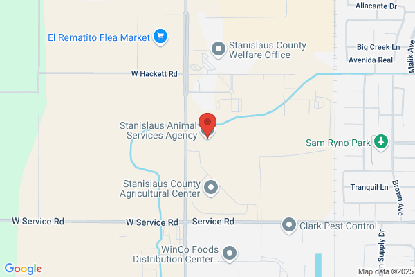 Animal Services Auxiliary
