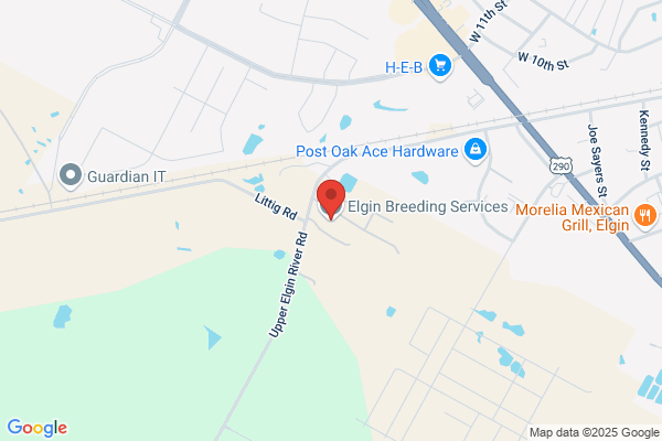 Anderson Breeding Service Inc