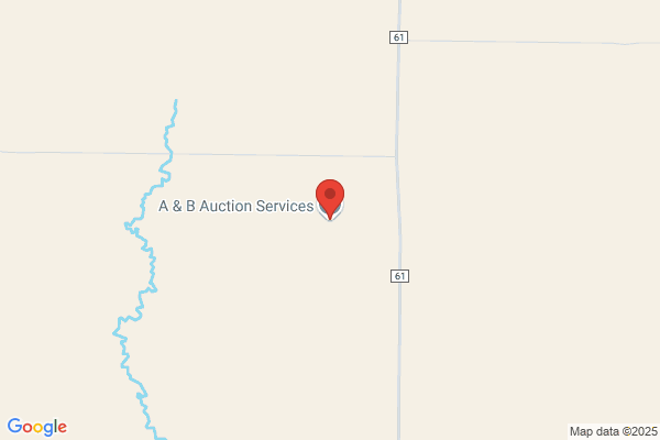 A & B Auction Services LLC
