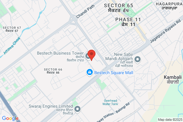 Local SEO Buzz