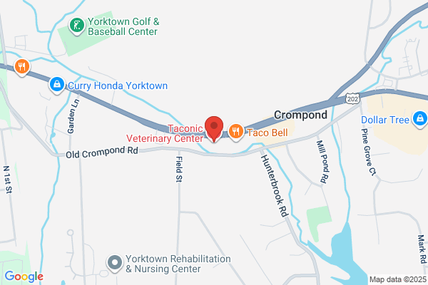 Taconic Veterinary Center