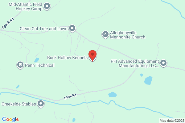 Buck Hollow Kennels