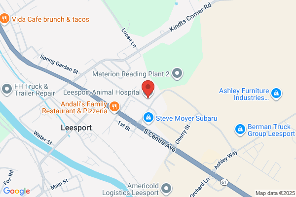 Leesport Animal Hospital