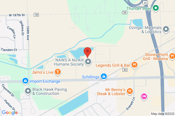 Stephen E. Jarvie, DDS - Inactive