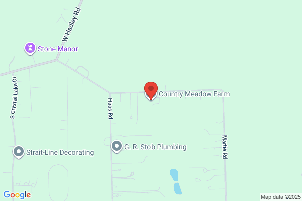 Country Meadow Farm