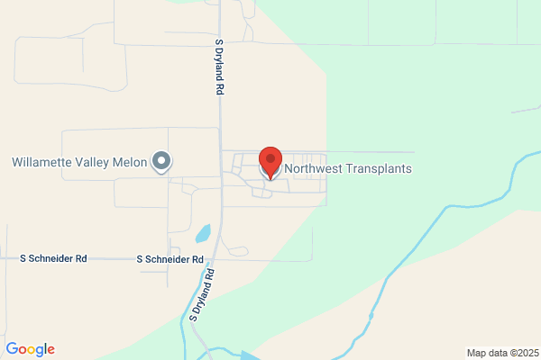 Northwest Transplants