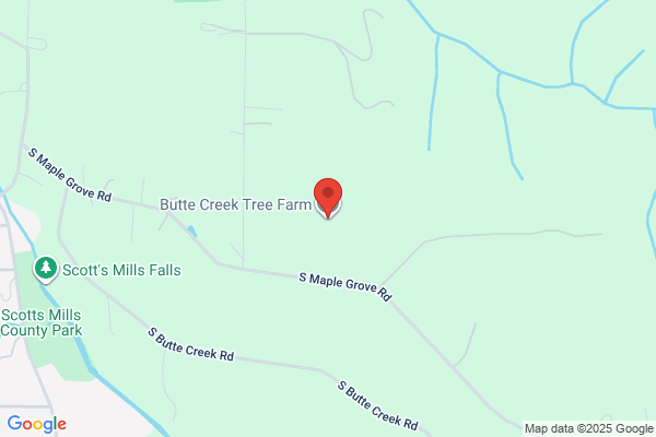 Bear Creek Tree Farms