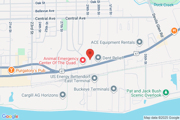 Jc Dubil Auto Parts