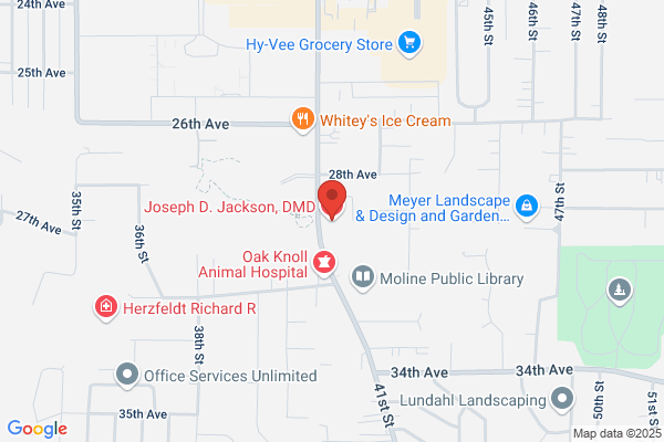 Joseph D. Jackson, DMD